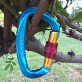 25KN Professional Climbing Carabiner D Shape Climbing Buckle Lock Security Safety Lock Outdoor Climbing Equipment Accessories