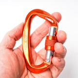 25KN Professional Climbing Carabiner D Shape Climbing Buckle Lock Security Safety Lock Outdoor Climbing Equipment Accessories