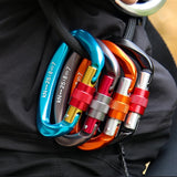 25KN Professional Climbing Carabiner D Shape Climbing Buckle Lock Security Safety Lock Outdoor Climbing Equipment Accessories